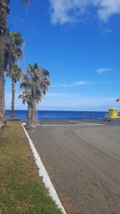 Apartamento Palmeras In Playa -